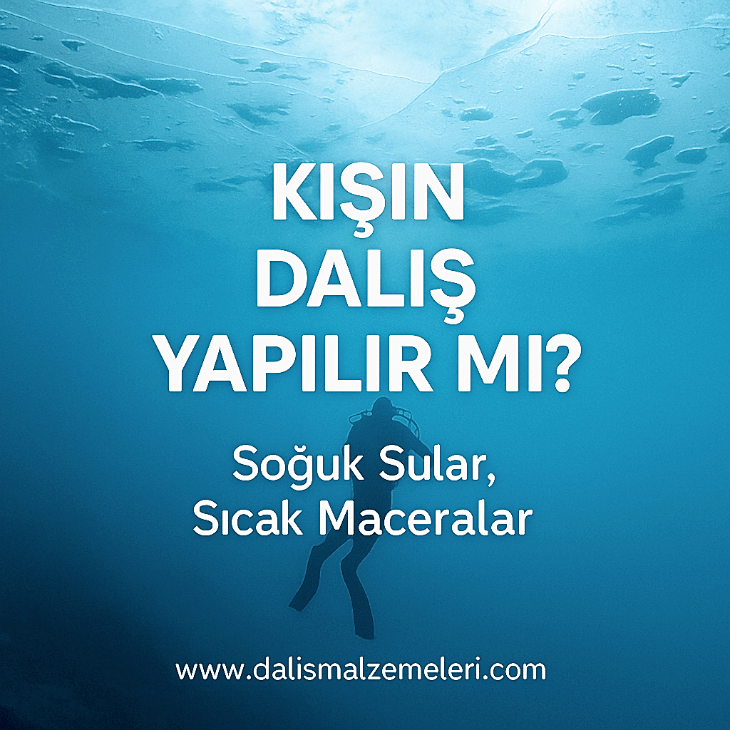 Kışın Dalış Yapılır mı? İşte Bilmen Gerekenler