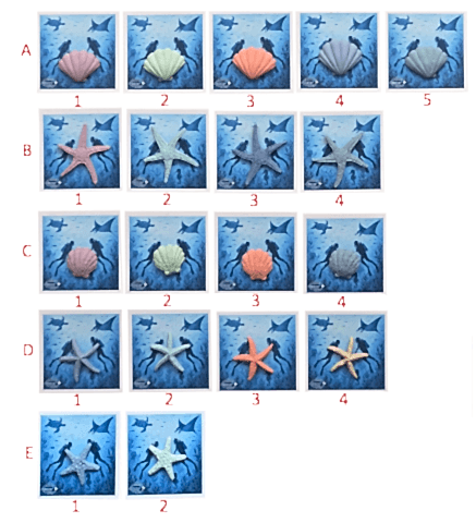 Deniz Canlıları Rozet-1