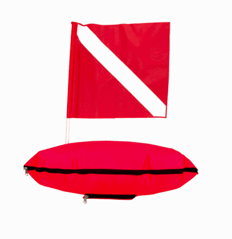 Torpido Dalış Şamandırası