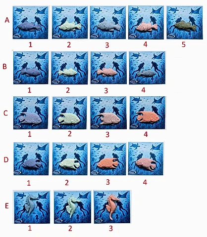 Deniz Canlıları Rozet-2